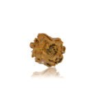 2 Mukhi Rudraksha - Nepal - 15mm size - Image 2