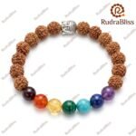 7chakra rudraksha RB