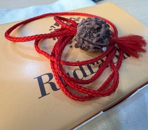 5 Mukhi Rudraksha Nepal 17-19MM photo review