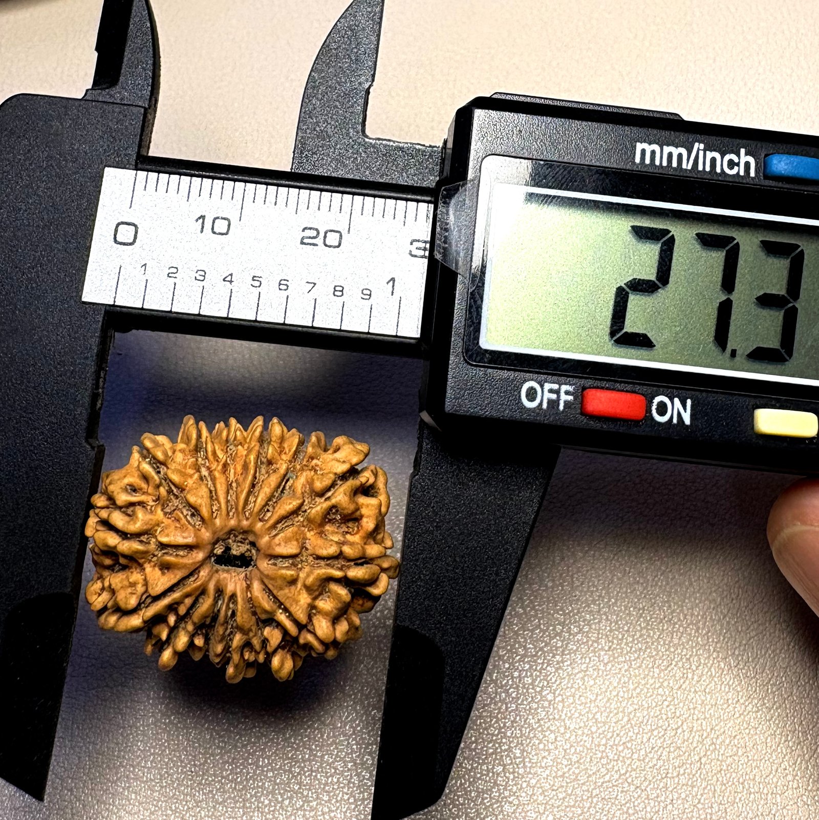 14mukhi-rudraksha-27.3mm