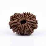 14 Mukhi Front GEM