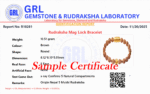 Rudraksha Mag Lock Bracelet - Image 5