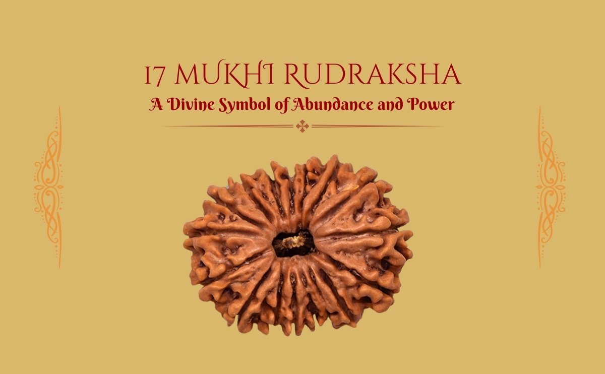 17 Mukhi Nepali Rudraksha