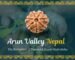 Arun Valley Rudraksha Himalayan Purity, Spiritual Power, and Authenticity