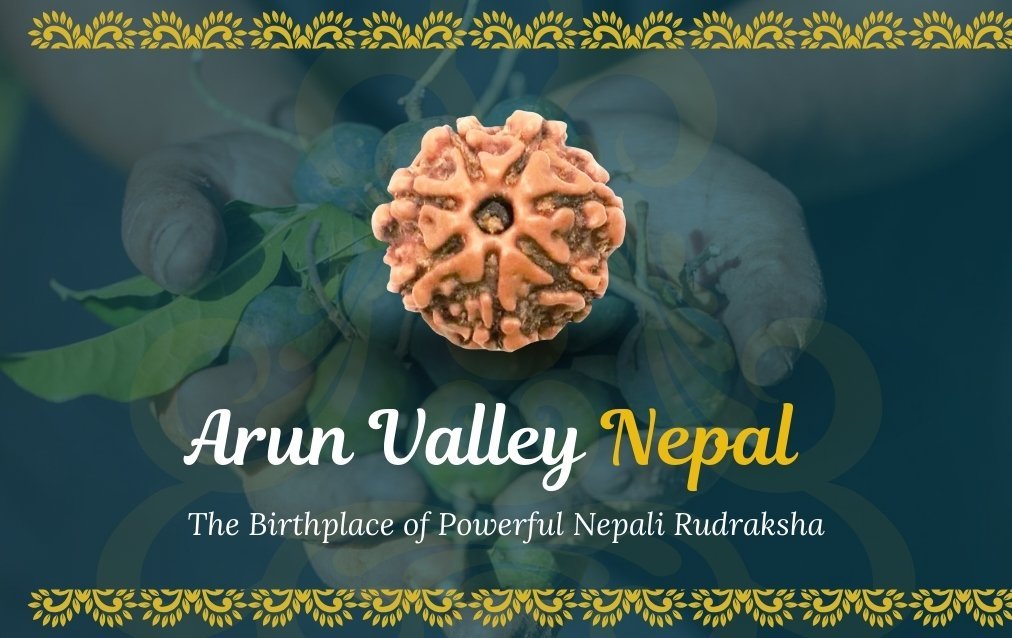 Arun Valley Rudraksha Himalayan Purity, Spiritual Power, and Authenticity