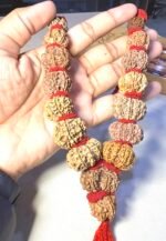 Sarva Siddhi 1 to 14 Mukhi Rudraksha Mala - Image 2