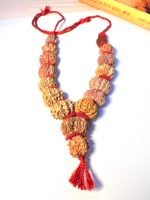 Sarva Siddhi 1 to 14 Mukhi Rudraksha Mala - Image 3