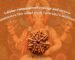 Lord Ganesha | The Ruling Deity of 8 Mukhi Rudraksha