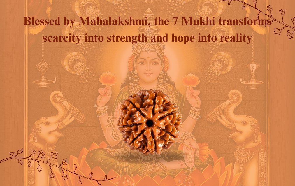 Mahalakshmi The Wealth and Fortune Energy of 7 Mukhi Rudraksha