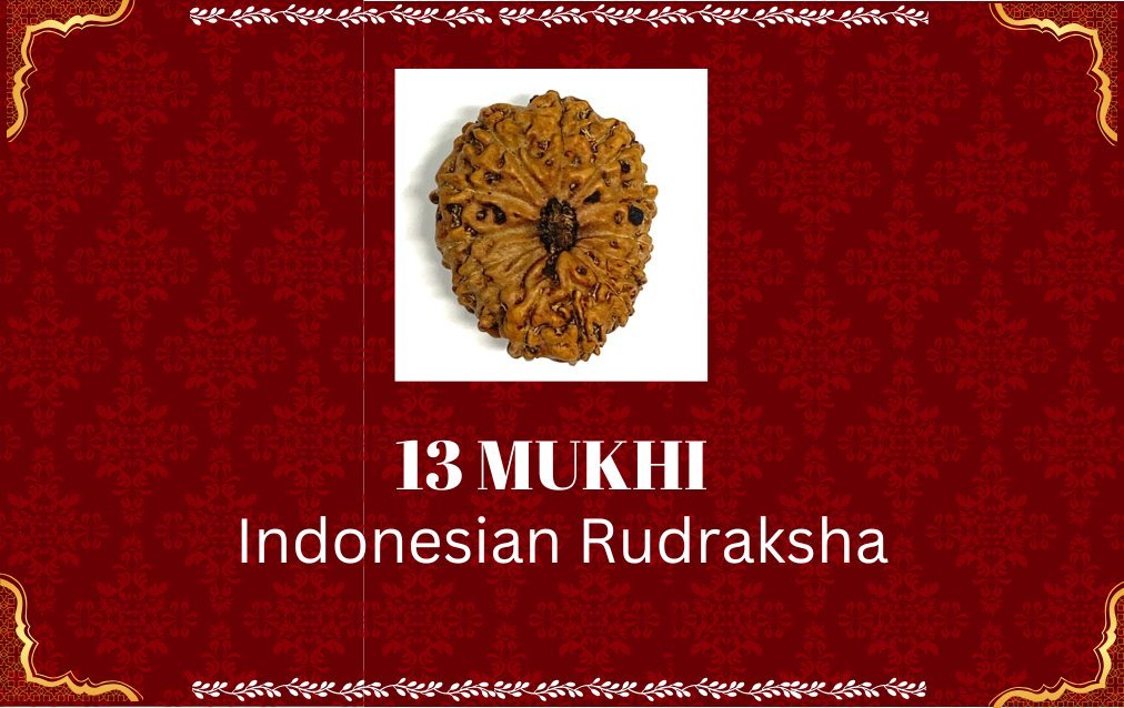 13 Mukhi Indonesian Rudraksha