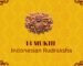 14 Mukhi Indonesian Rudraksha