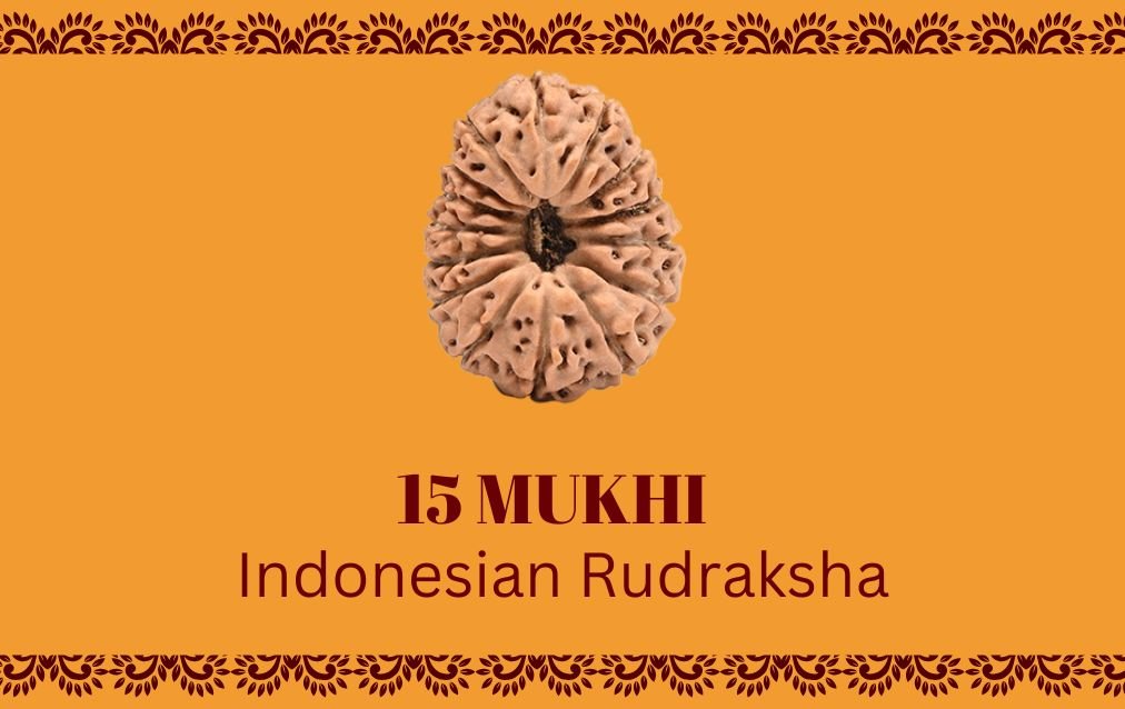 15 Mukhi Indonesian Rudraksha