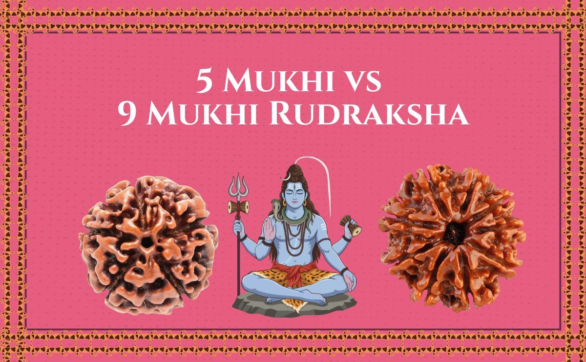 5 Mukhi Rudraksha vs 9 Mukhi Rudraksha