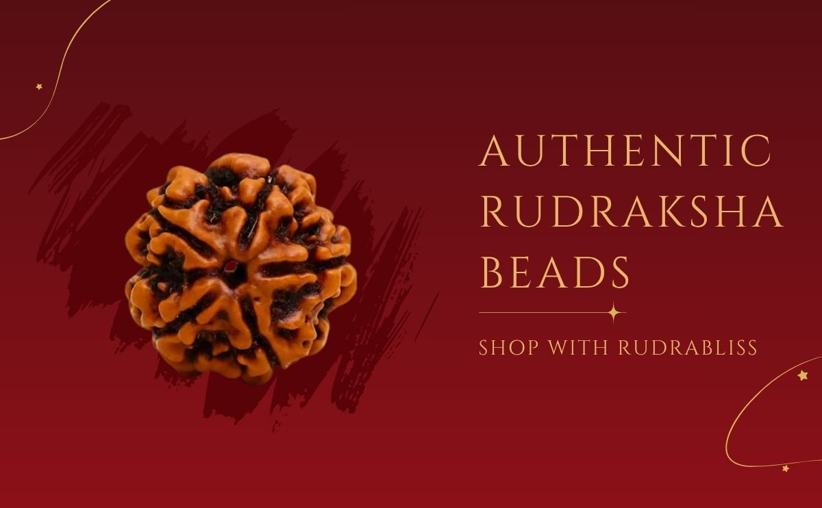 Authentic Rudraksha Beads