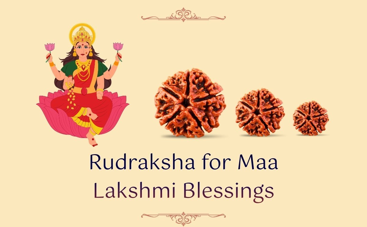 Rudraksha for Maa Lakshmi Blessings