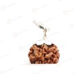 1 Mukhi Rudraksha Nepal 21mm with silver pendant cap - original bead on white background